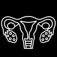 Ovarian Stimulation, IVF, ICSI hover